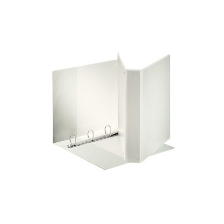 RACCOGLITORE DISPLAY MAXI 22X30CM 4D H40MM BIANCO PERSONALIZZABILE ESSELTE - 394753000