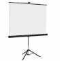SCHERMO PER PROIEZIONE CON TREPPIEDE 150X150CM BI-OFFICE - 9D006020