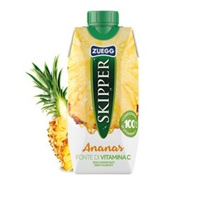 SUCCO SKIPPER GUSTO ANANAS BRICK 330ML ZUEGG - ZUFAN