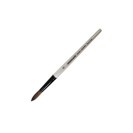 PENNELLO PELO PONY TONDO GRADUATE N.18 MANICO CORTO DALER ROWNEY - D212189018