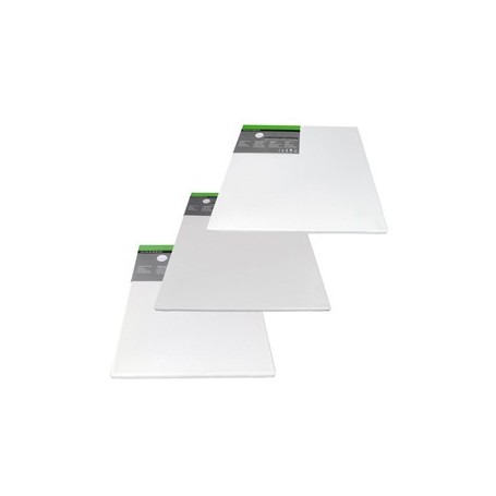 CARTONE TELATO 50X70CM DALER ROWNEY - D525045070