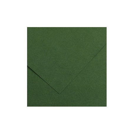 FOGLIO COLORLINE 70X100 CM 220 GR. 31 VERDE ABETE - 200041217