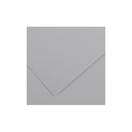 FOGLIO COLORLINE 70X100 CM 220 GR. 35 GRIGIO CHIARO - 200041221