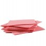 PACK 10 PANNOSPUGNA AQUOS ROSSO PERFETTO - 0231C