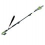 POTATORE TELESCOPICO A BATTERIA PT20 20V-2AH - 4346
