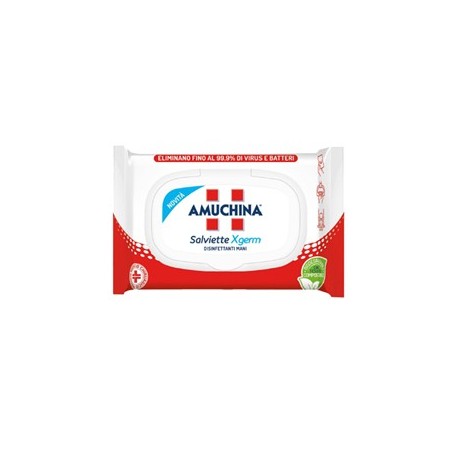 20 SALVIETTE DISINFETTANTI MANI XGERM AMUCHINA - 419841