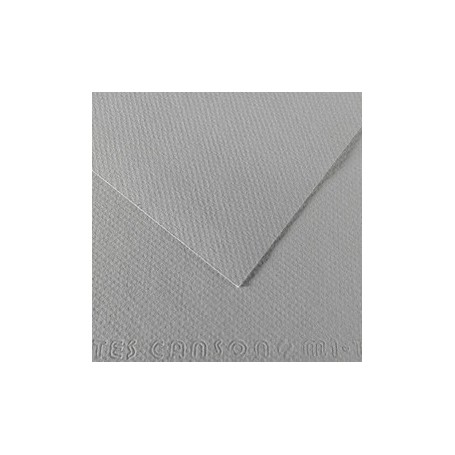 FOGLIO MI-TEINTES A4 CM 160 GR. 122 GRIGIO FLANELLA - C31032S010