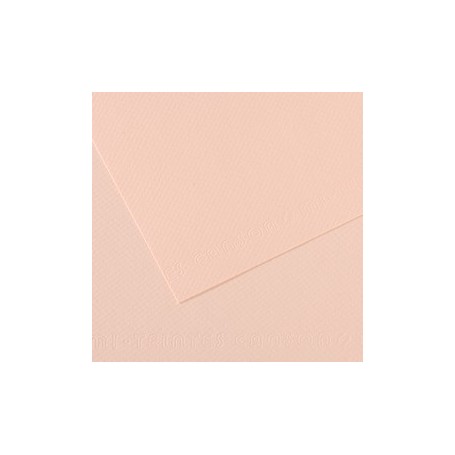 FOGLIO MI-TEINTES A4 CM 160 GR. 103 AURORA - C31032S004