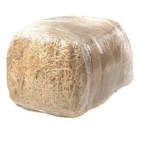 PAGLIETTA LEGNO 4