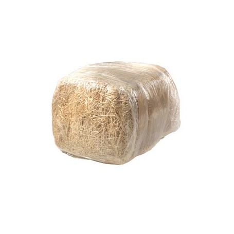 PAGLIETTA LEGNO 4