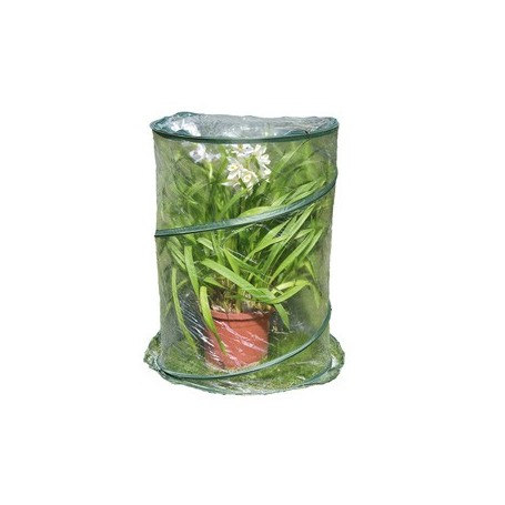 SERRA POP-UP ANTHURIUM 70X100CM VERDE/TRASPARENTE VERDEMAX - 2634