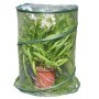 SERRA POP-UP ANTHURIUM 70X100CM VERDE/TRASPARENTE VERDEMAX - 2634