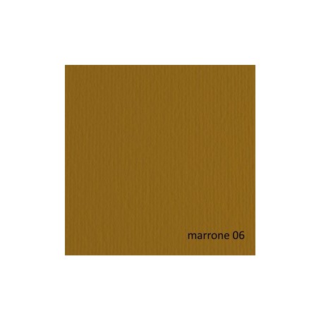 BLISTER 10FG CARTONCINO 70X100 220GR MARRONE 106 FABRIANO ELLE ERRE - 46470106