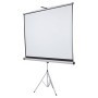 SCHERMO A TREPPIEDE 4:3 175X133CM - 1902396