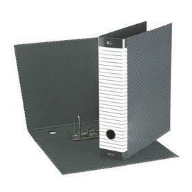 REGISTRATORE DELSO LINE G15 DORSO 8CM F.TO PROTOCOLLO ESSELTE - 390715060