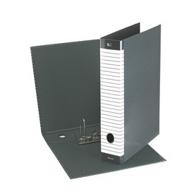 REGISTRATORE DELSO LINE G12 DORSO 5CM F.TO COMMERCIALE ESSELTE - 390712060