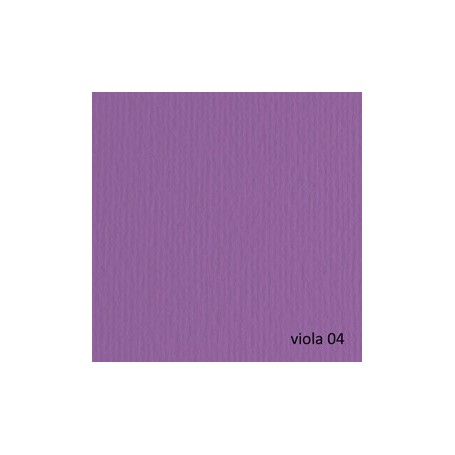 BLISTER 20FG CARTONCINO 50X70 220GR VIOLA 104 FABRIANO ELLE ERRE - 42450704