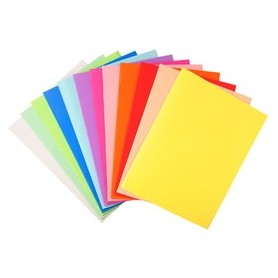 100 CARTELLINE SEMPLICI 220GR 24X32CM MIX 10 COLORI FOLDYNE - 410000E