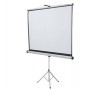 SCHERMO A TREPPIEDE 16:10 200X131CM - 1902397W