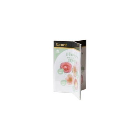 DISPLAY PORTAMENU' A Y 10